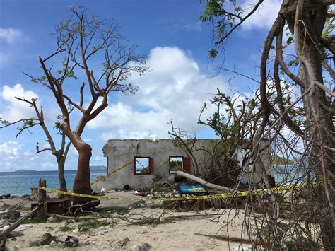 Cinnamon Bay Campground Reopens St Thomas Source