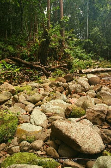 Tawau Hills Park, Sabah, Malaysia Borneo/tawau-hills-park-img_7286