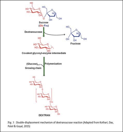 Dextran Problem