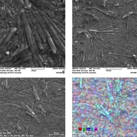 The Deposited Zinc Phosphate Layer Microstrustructure A 2kx Sem Download Scientific Diagram