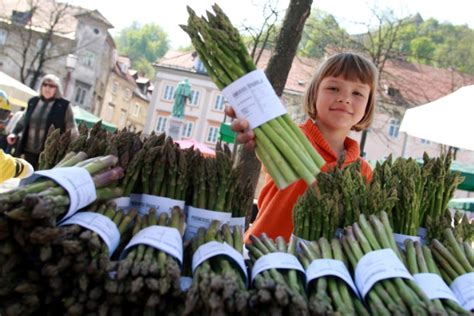 April Je Slovenski Dan Brez Zavr Ene Hrane Slovenia Si