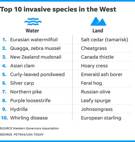 Invasive Species List