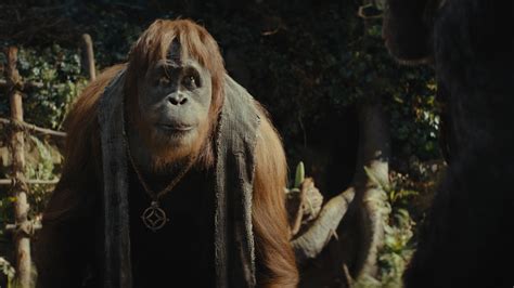 Watch Kingdom Of The Planet Of The Apes Fmovies