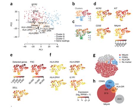 易基因｜单细胞转录组测序：smart Seq2和10x Genomics Chromium怎么选？ 深圳市易基因科技 博客园