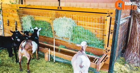 Diy Goat Feeder Can Make Today Best For Goats, Horses, Cows Feeder 2024