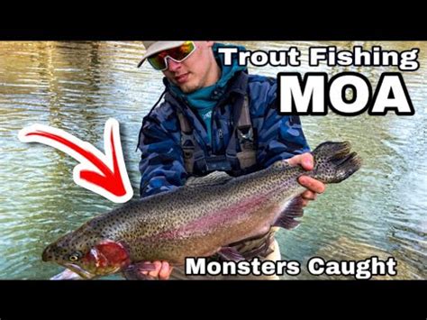 Trout Fishing Moa For Pa Trophy Trout Pa Trout Season Youtube