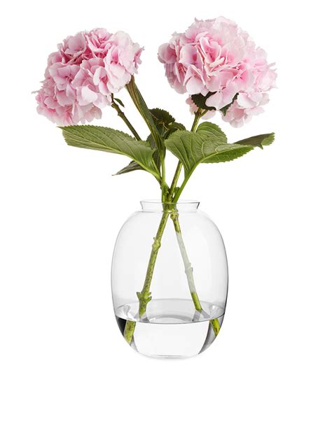 Delicate Glass Vase 25 Cm Clear Glass Arket