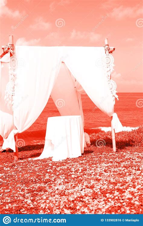 Arch For The Wedding Ceremony Decorated With Cloth Stock Photo