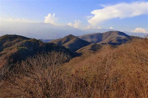 Descubre Más De 10 Tesoros únicos Del Bosque Seco De Guatemala