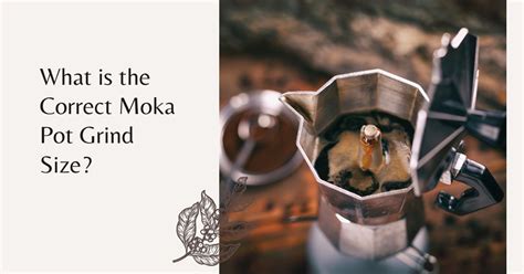 What Is The Correct Moka Pot Grind Size Coffee Snobs World