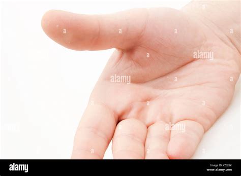 Isolated Hand Palm On White Background Stock Photo Alamy