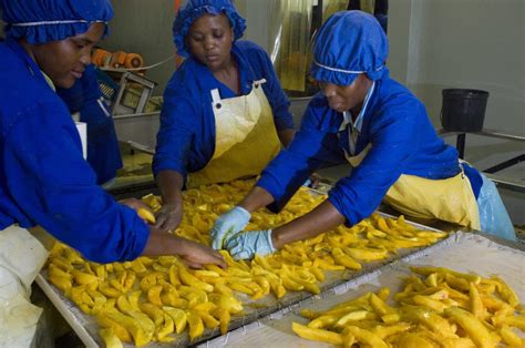 État des lieux du secteur Agro alimentaire en Afrique en 2017 AfrikaTech