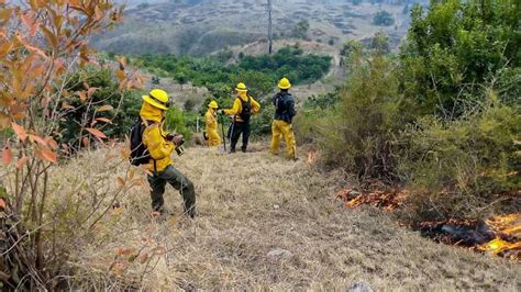 Reportan 55 Incendios Forestales Durante La Semana Santa Diario Libre