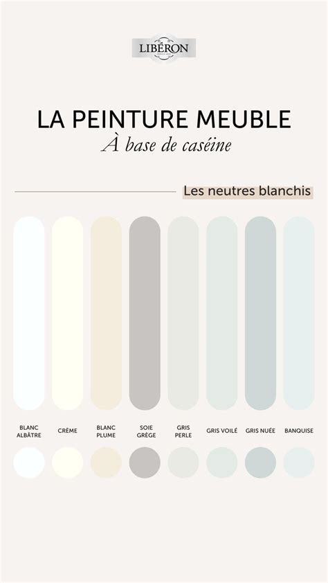 Palette De Couleurs La Peinture Meuble Base De Cas Ine Les Neutres