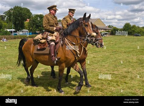 World war one horses hi-res stock photography and images - Alamy