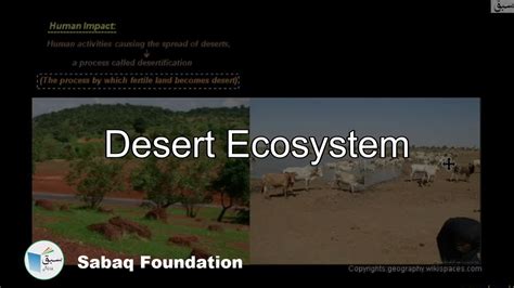 Desert Ecosystem Biology Lecture Sabaqpk Youtube