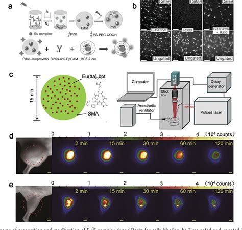 Figure From Recent Progress In Time Resolved Biosensing And