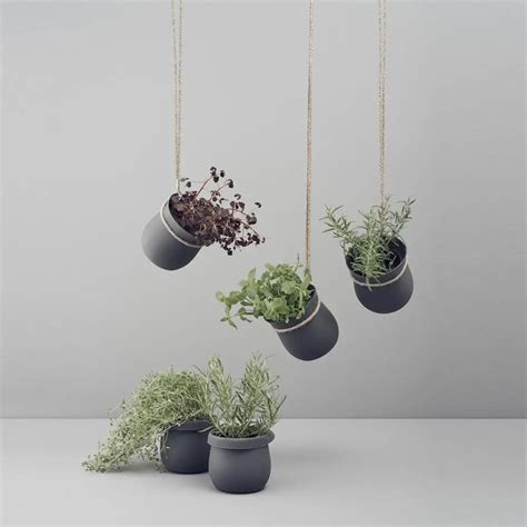 Top D Co Pots De Fleurs Suspendus Pour Mettre En Valeur Vos