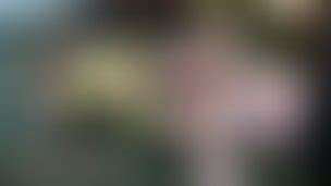 Mixed Wrestling Porn Videos Clips4sale