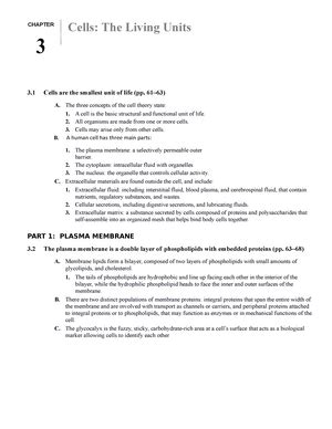 Chapter 2 Lecture Notes Marieb Anatomy Chemistry Comes Alive PART 1