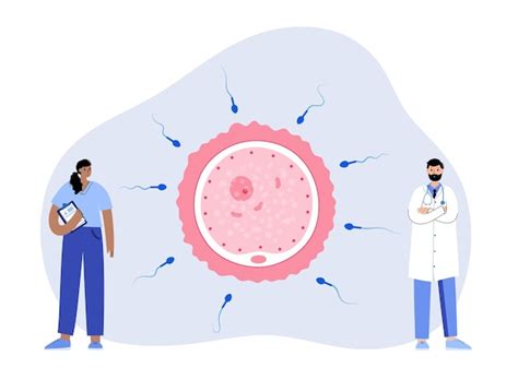 Concepto De Fertilización Humana Vector Premium