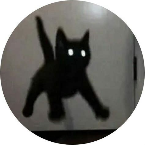 A Black Cat With Glowing Eyes Is In The Middle Of A Circular Photo That