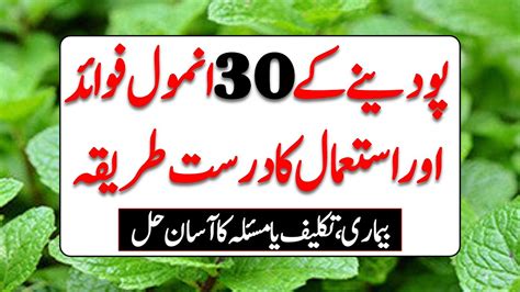 Amazing Benefits Uses Of Mint Benefits Of Mint Leaves Podina K