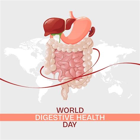 Premium Vector World Digestive Health Day Template With Human