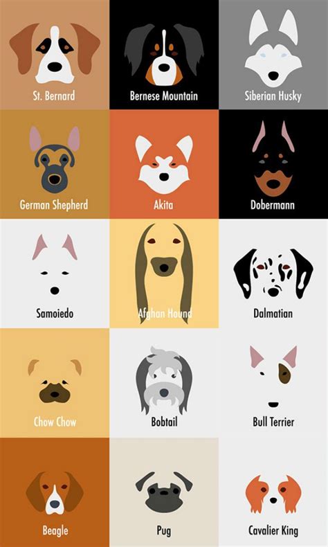 32 MORE Dog Illustrations So Spot-On Your Dog Can't Deny It | Dog illustration, Dog design, Dog ...