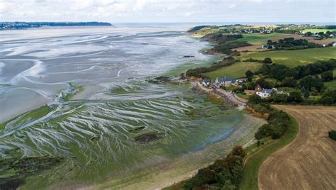 Algues Vertes En Bretagne Des Nouveaux Capteurs Vont Tre Install S