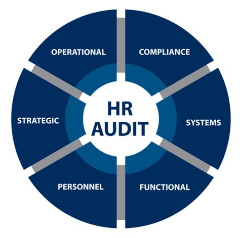 Steps For A Highly Effective Hr Audit Willory