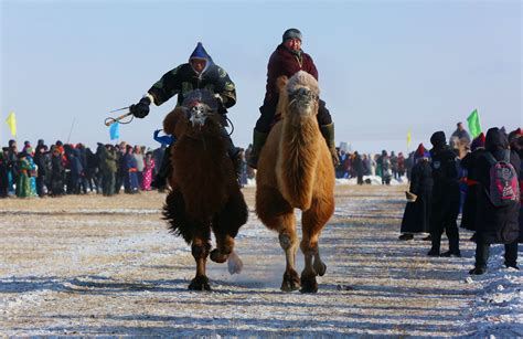 【冰雪“那达慕”（1）摄影图片】纪实摄影太平洋电脑网摄影部落