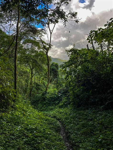 12 Interesting Costa Rica Facts — Traverse Journeys - Travel That