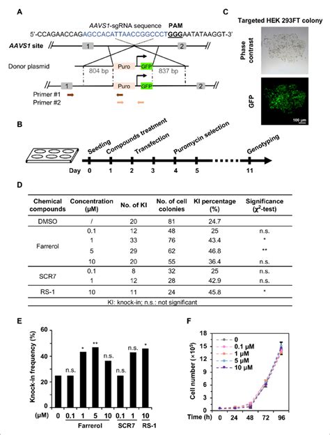 Farrerol Promotes Spcrispr Cas Mediated Knock In Efficiency In Human