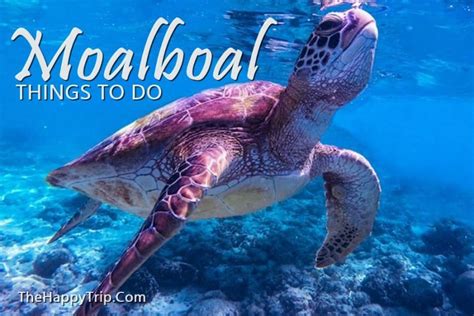 What To Do In Moalboal Cebu Philippines Tourist Spots