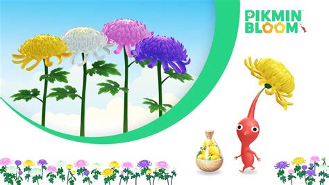 Pikmin Bloom Detalla Sus Planes Para Noviembre De Nintenderos