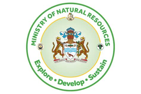 Ministry Of Natural Resources Guyana Partners And Donors Caribbean