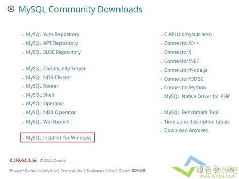 Win11安装配置mysql超详细教程（保姆级），mysql安装不显示开发者选项及启动错误解决办法 知乎