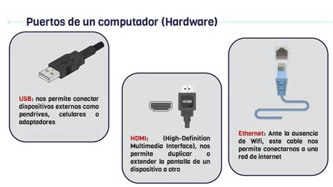 El Computador Sus Partes Y Software Profe Social