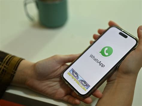 Come Si Fa A Vedere La Posizione Di Una Persona Su WhatsApp