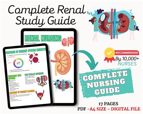 Renal urinary system diseases nursing study guides nursing notes