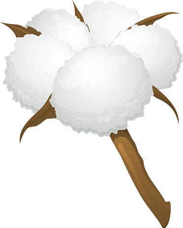 Free Cotton Boll Clipart in AI, SVG, EPS or PSD