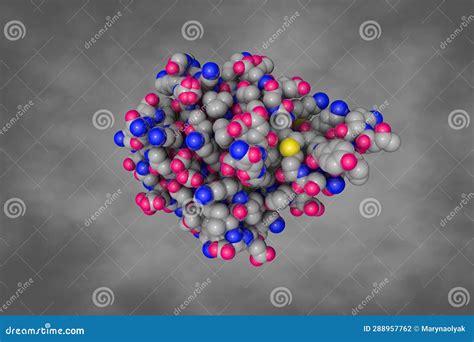 Human Testis Specific Fatty Acid Binding Protein 9 Fabp9 Space