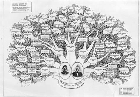 Family tree, Ancestry, Map