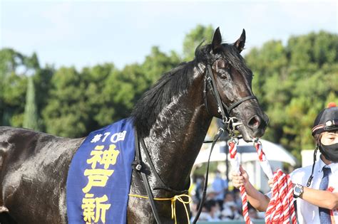 Netkeiba On Twitter 【次走報】 ジャスティンパレス ルメール→阪神大賞典 メイショウハリオ→かしわ記念or平安s アドマイヤルプス→オアシスs マテンロウレオ→