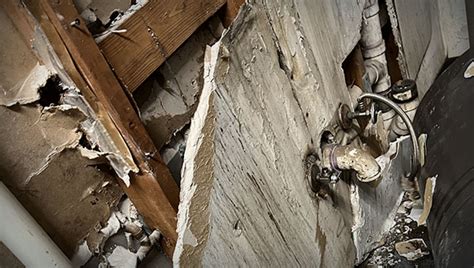 how to get mold off drywall