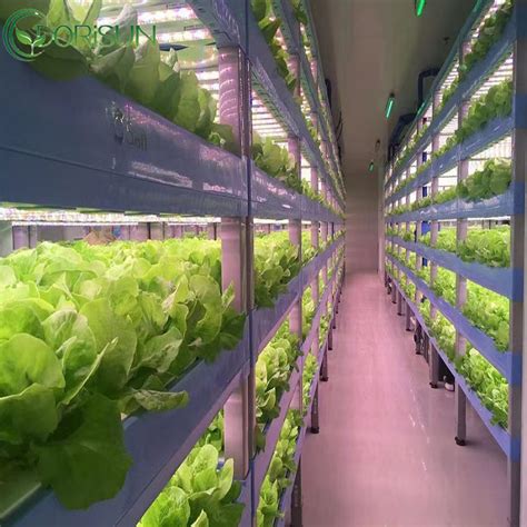 Intelligent Control Hydroponic Shipping Container Greenhouse Vertical