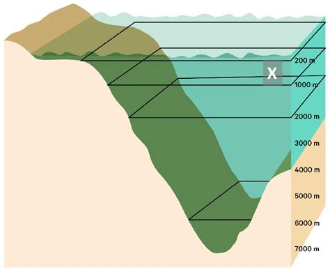 Perhatikan Gambar Berikut Ini Zona Laut Yan