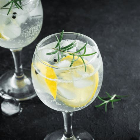 Arriba 65 Imagen Receta Del Gin Tonic Abzlocal Mx