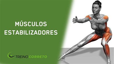 Musculos Estabilizadores Da Escapula LIBRAIN